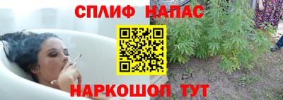 винт Сланцы