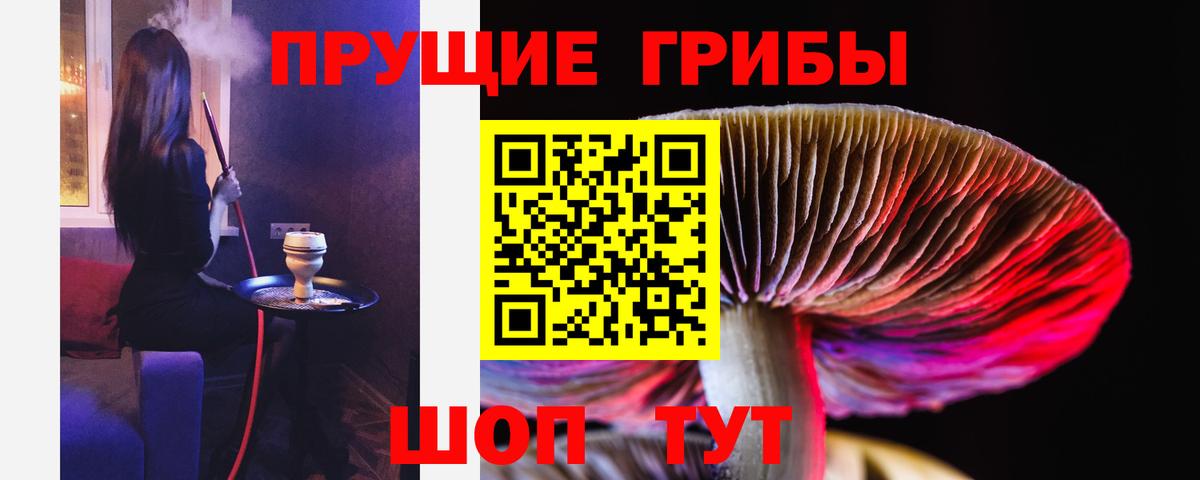 Оренбург  Галлюциногенные грибы мухоморы  Вход с VPN 